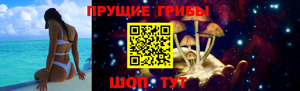 Галлюциногенные грибы мицелий  Вход с VPN  Горно-Алтайск 